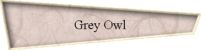 Grey Owl